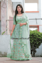 Meira Floral Choli - Light Green