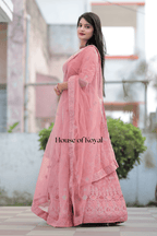 Taraani Choli – Baby Pink
