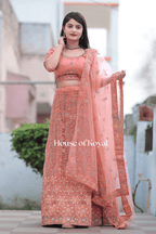 Amaira Choli - Gajari