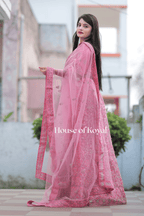 Amaira Choli - Pink