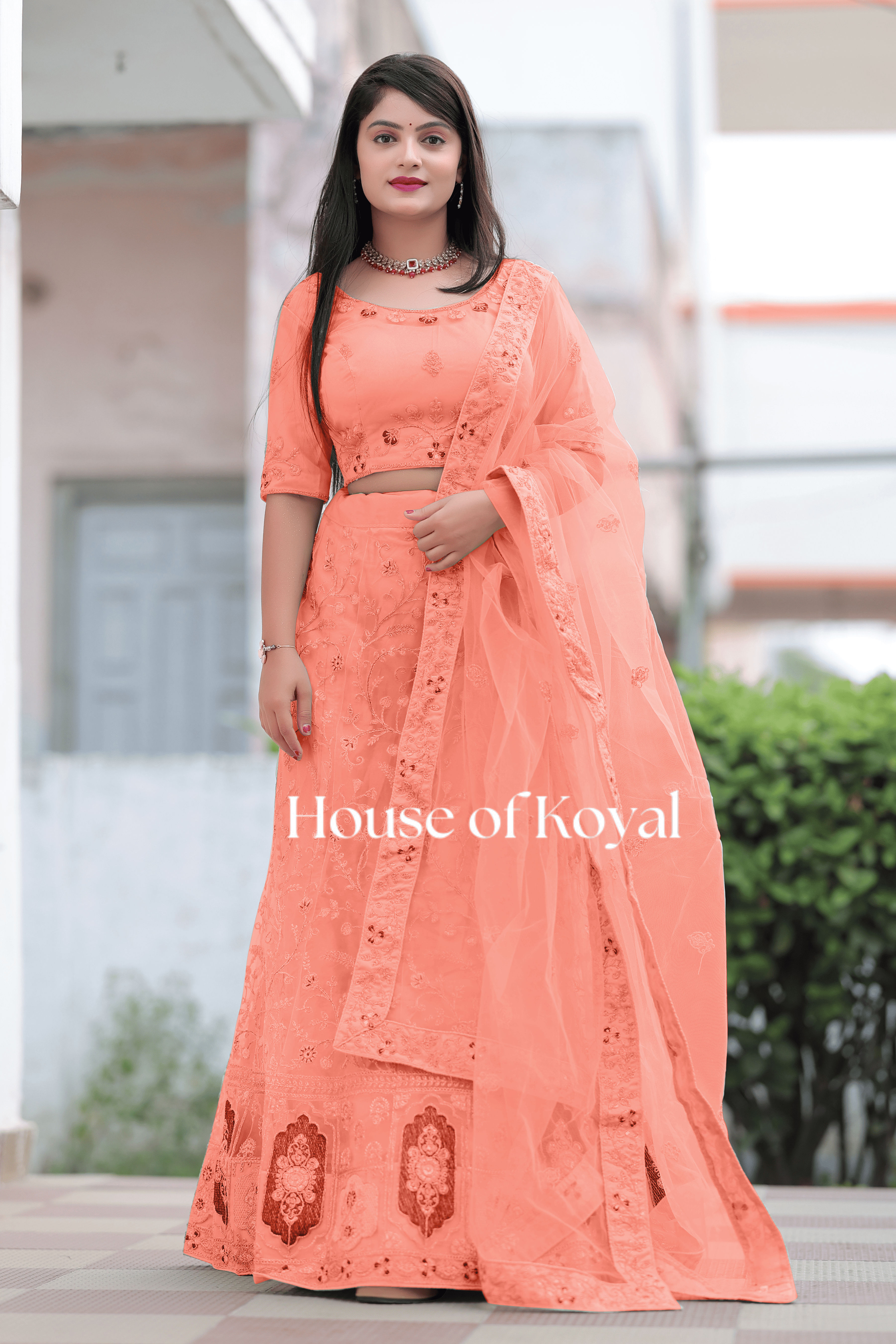 Nayra Choli - Gajari