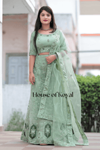Nayra Choli - Light Green