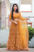 Aarvi Choli – Mustard