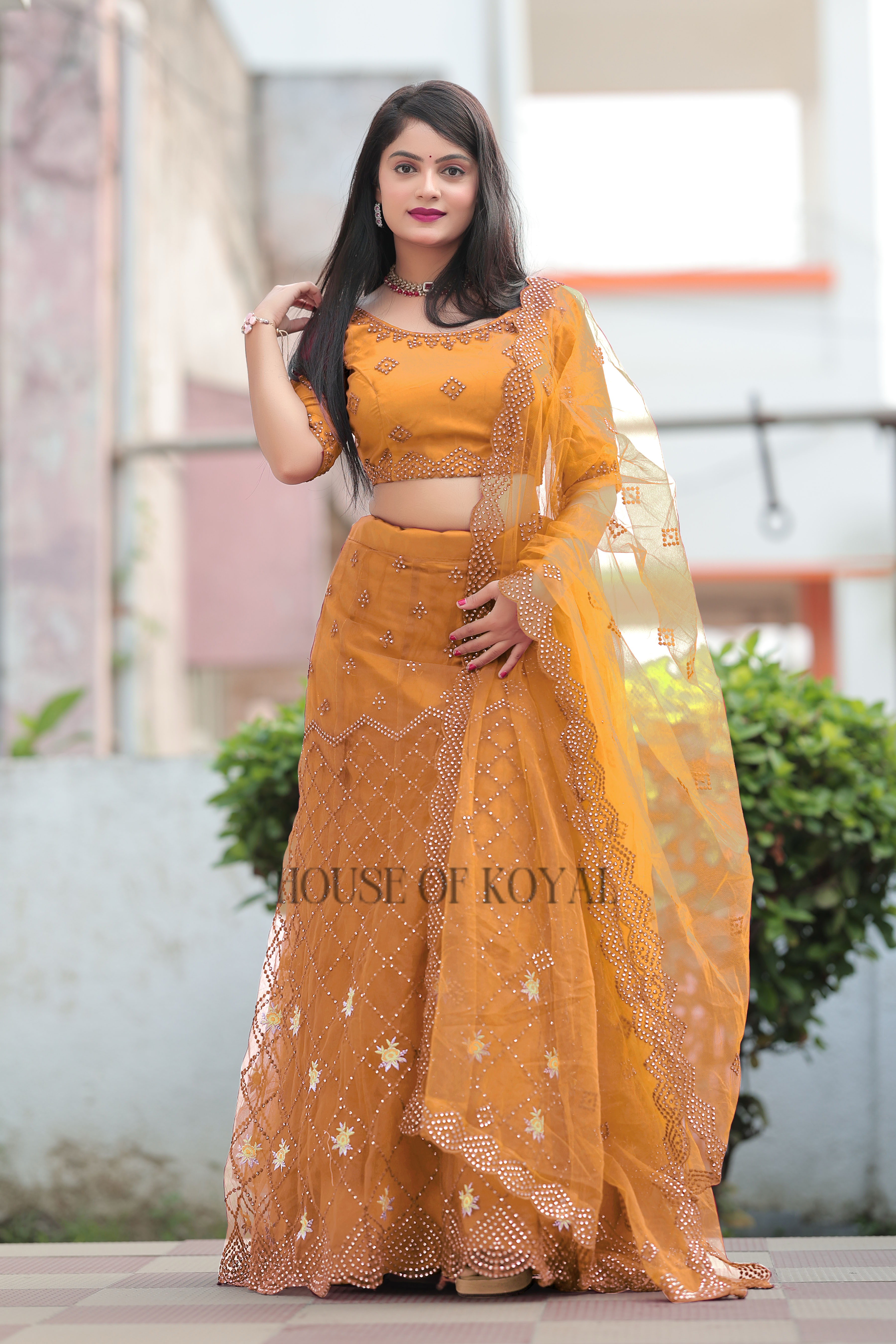 Aarvi Choli – Mustard