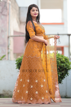 Aarvi Choli – Mustard