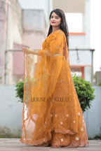 Aarvi Choli – Mustard